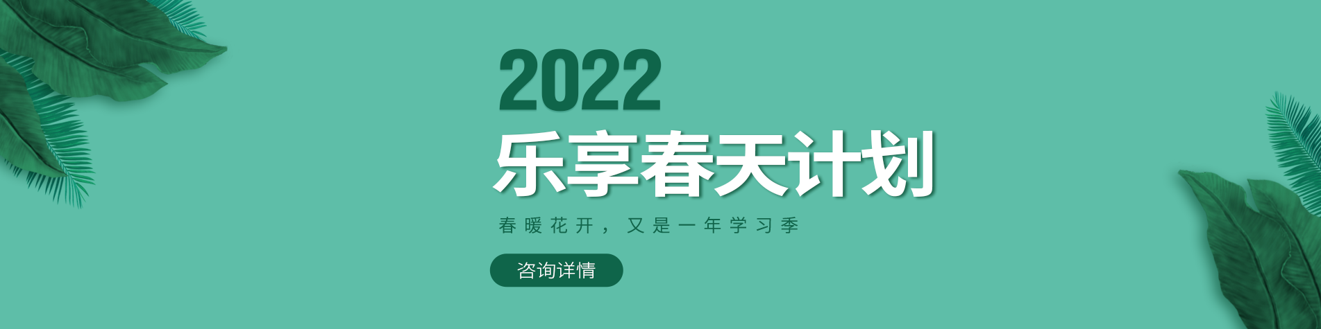 鸡巴操骚穴视频抬起腰